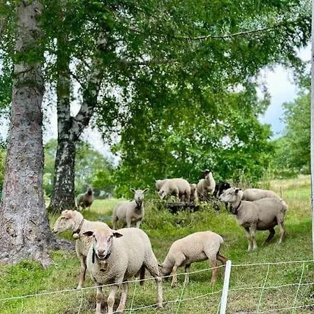Duplex Familial A La Campagne * Orcier